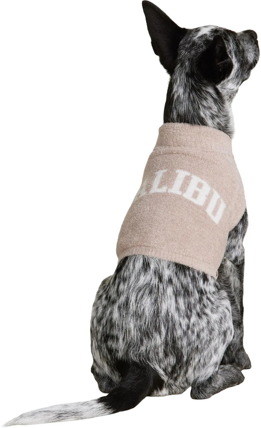 Barefoot Dreams - Cozychic Lite Malibu Pet Sweater - Image 4