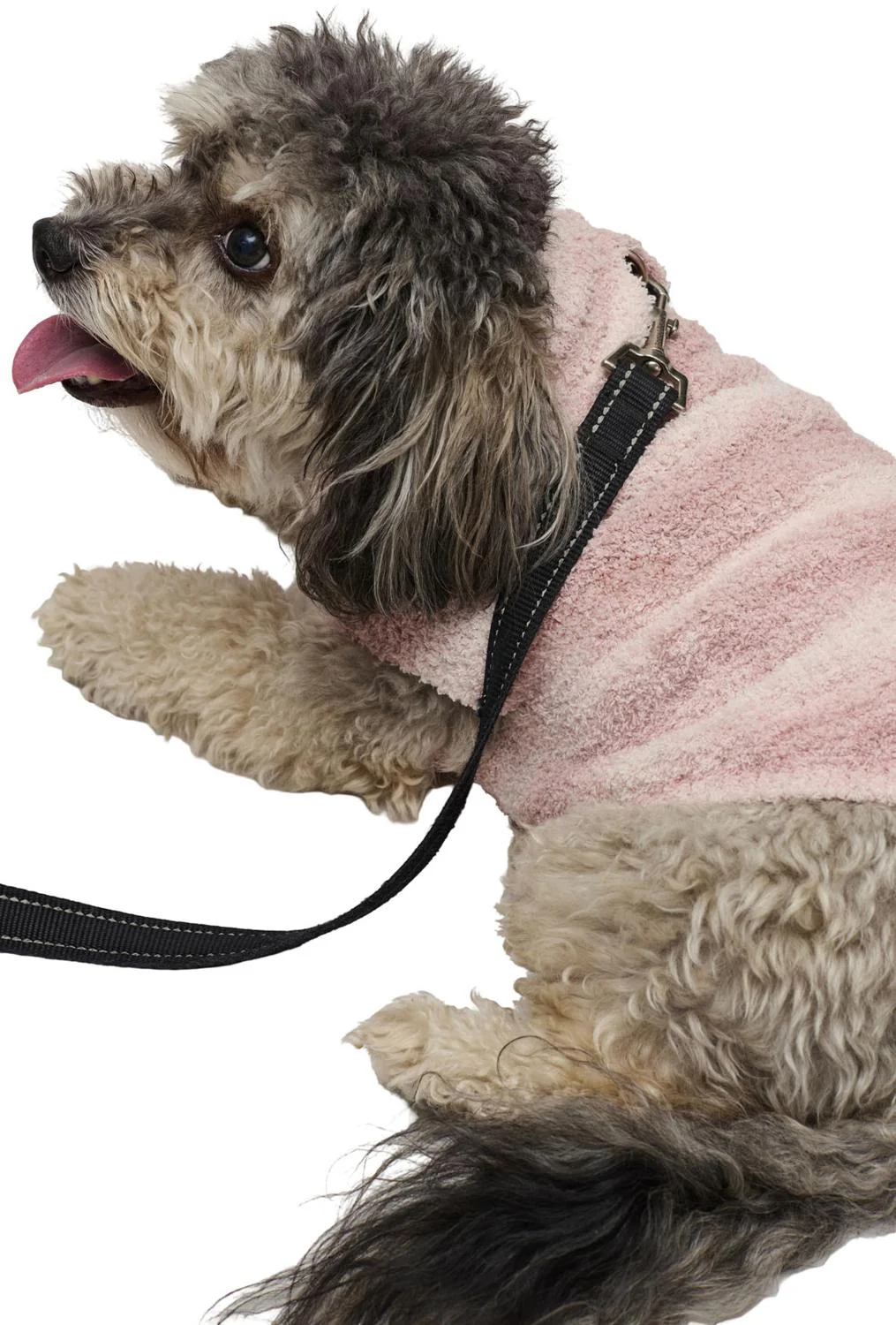 Barefoot Dreams - CozyChic Spacedye Pet Sweater - Image 4